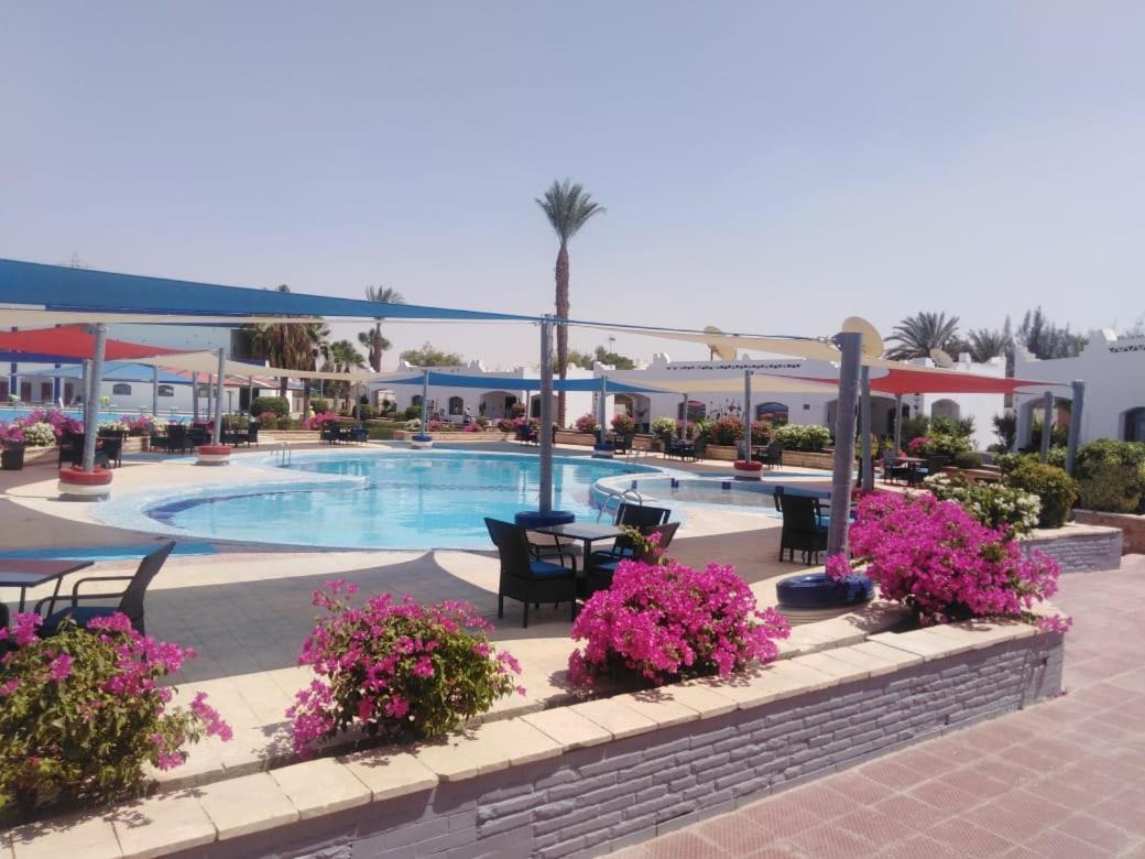 Assiut Cement Hotel Exteriör bild